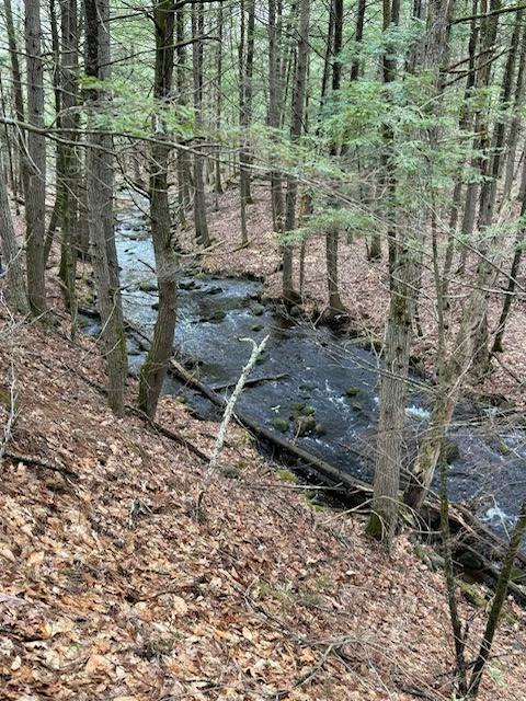 0 Quarry Road Limerick, ME 04048 - Photo 5 of 9 0 Q!uarry - Brook Pic
