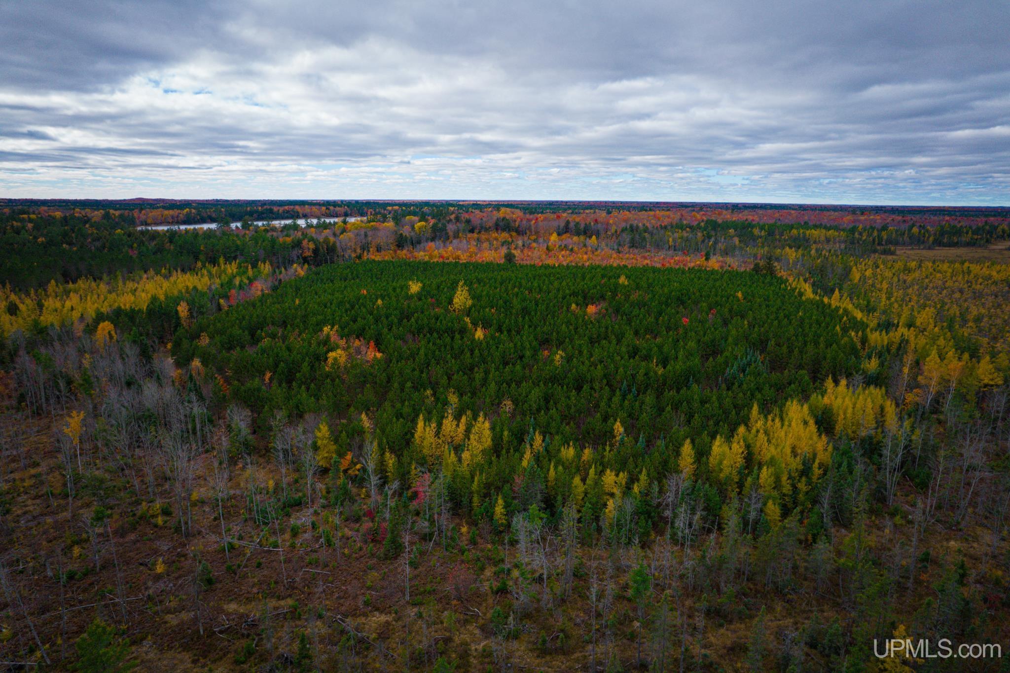 160 Acres Stella Lake Road Wetmore, MI 49895 - Photo 8 of 28