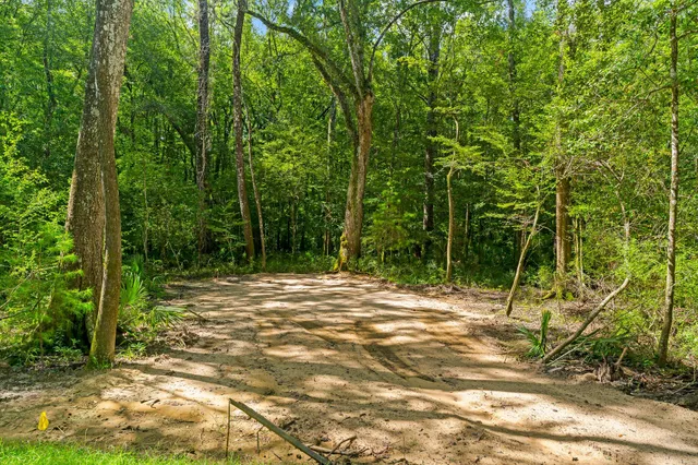 a view of a field with trees in the background