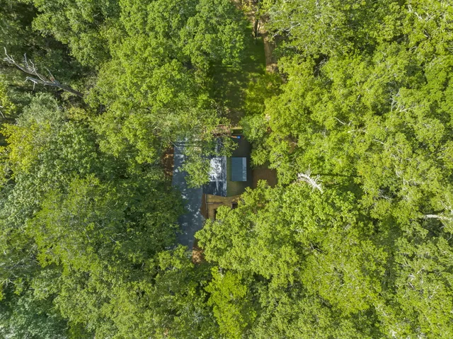 a view of a garden with a lake