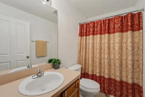 a bathroom with a sink a toilet and shower curtain