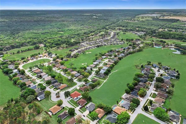 an aerial view of residential houses with outdoor space and trees