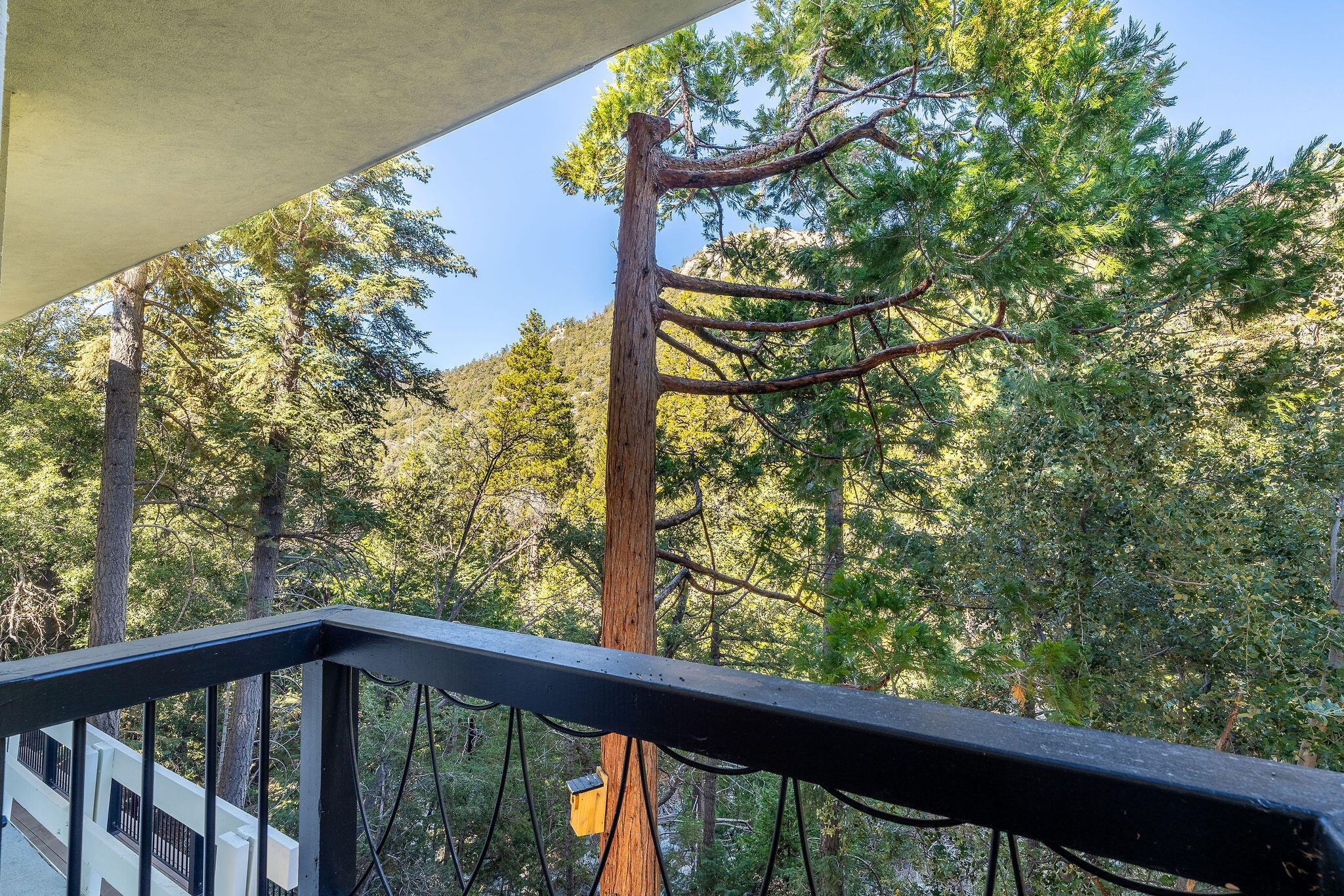 55596 Encino Road Idyllwild, CA 92549 - Photo 45 of 62 55596EncinoDr-43