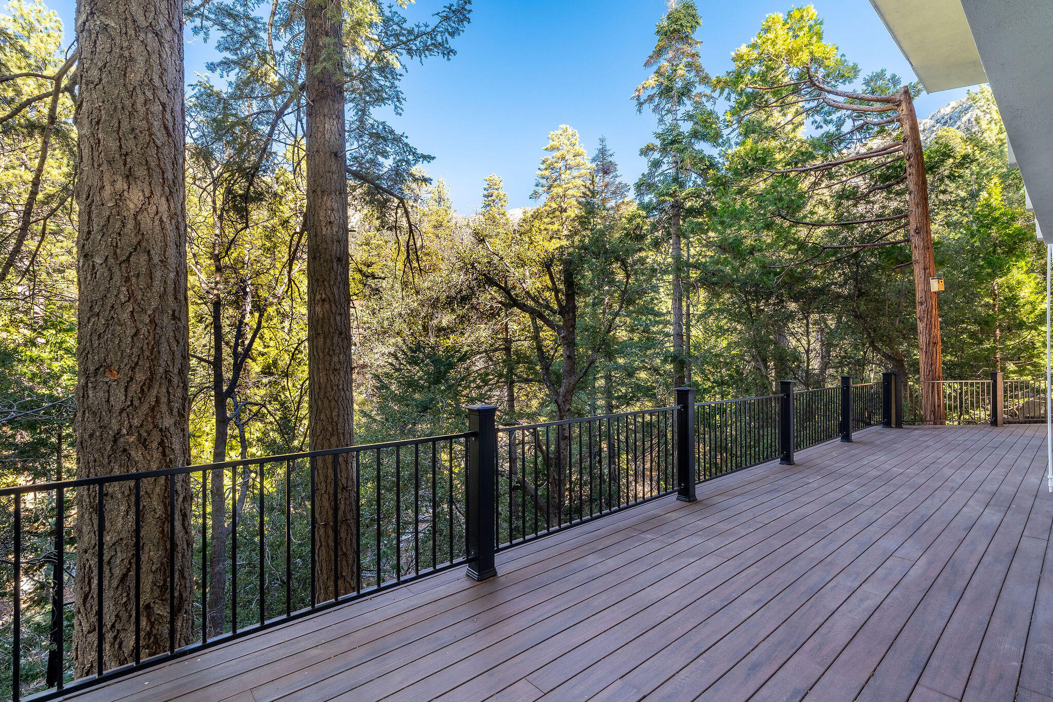 55596 Encino Road Idyllwild, CA 92549 - Photo 46 of 62 55596EncinoDr-44
