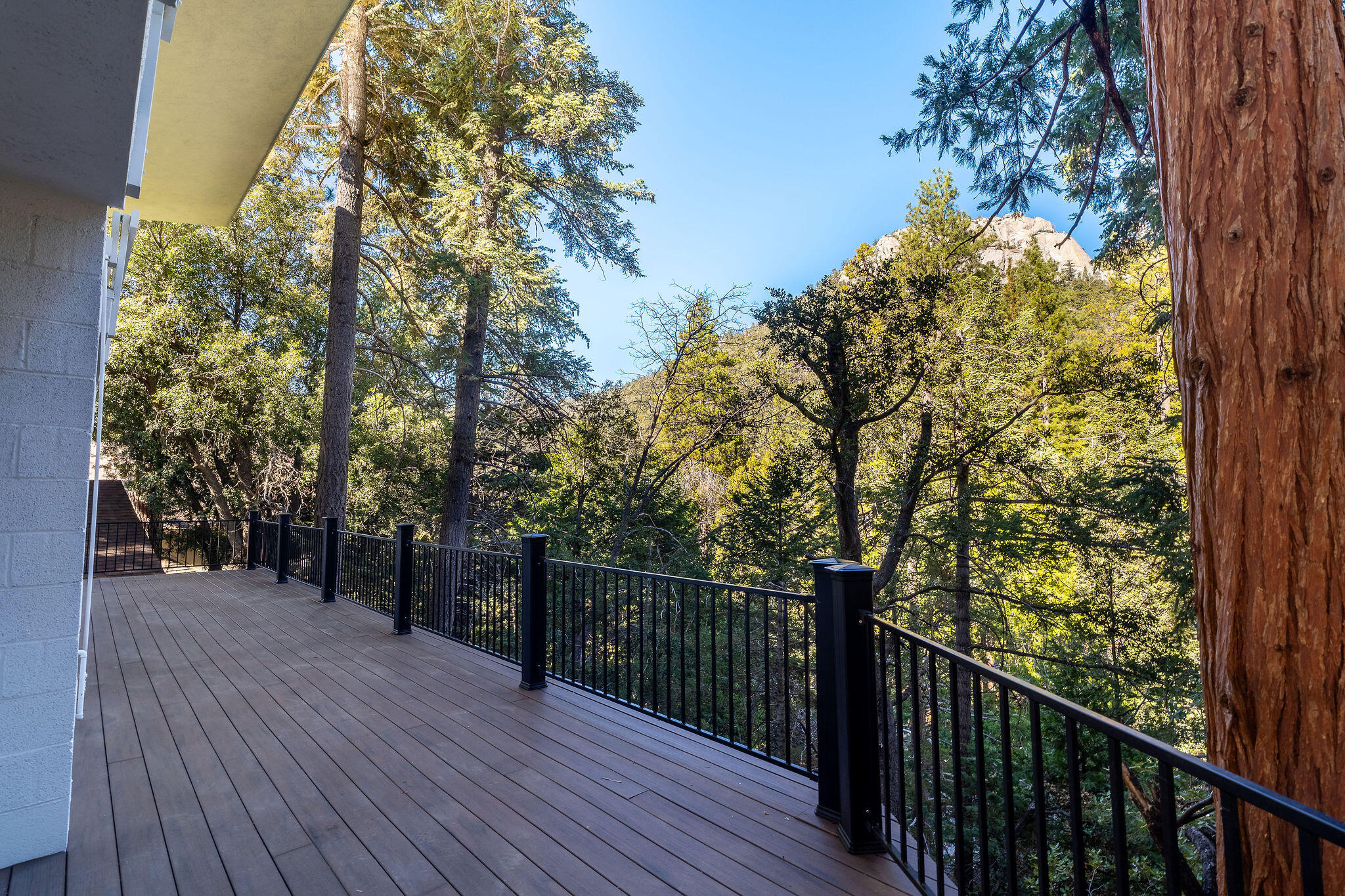 55596 Encino Road Idyllwild, CA 92549 - Photo 48 of 62 55596EncinoDr-46