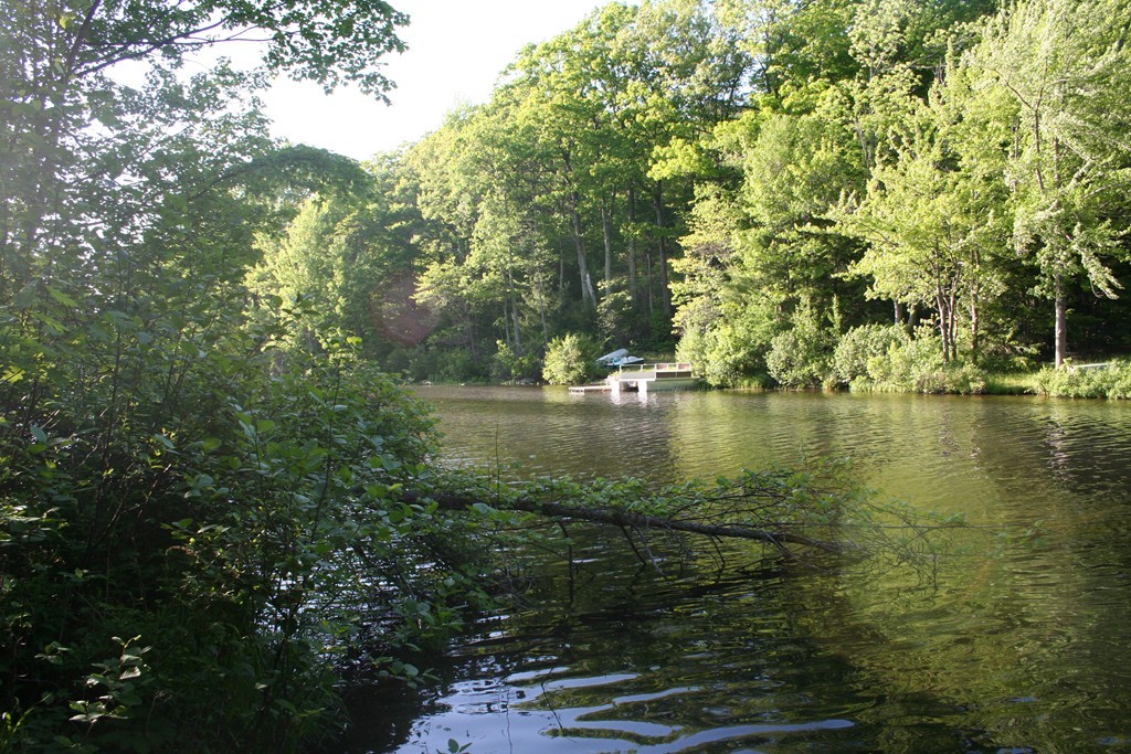 142 Deer Bay Road Ashby, MA 01431 - Photo 6 of 15