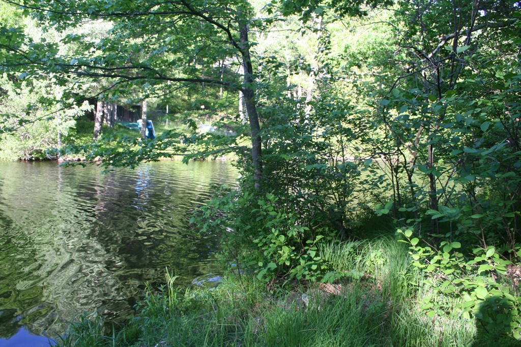 142 Deer Bay Road Ashby, MA 01431 - Photo 8 of 15