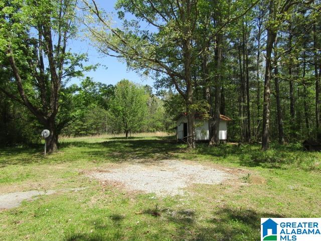 1108 Pike Road Piedmont, AL 36272 - Photo 5 of 15