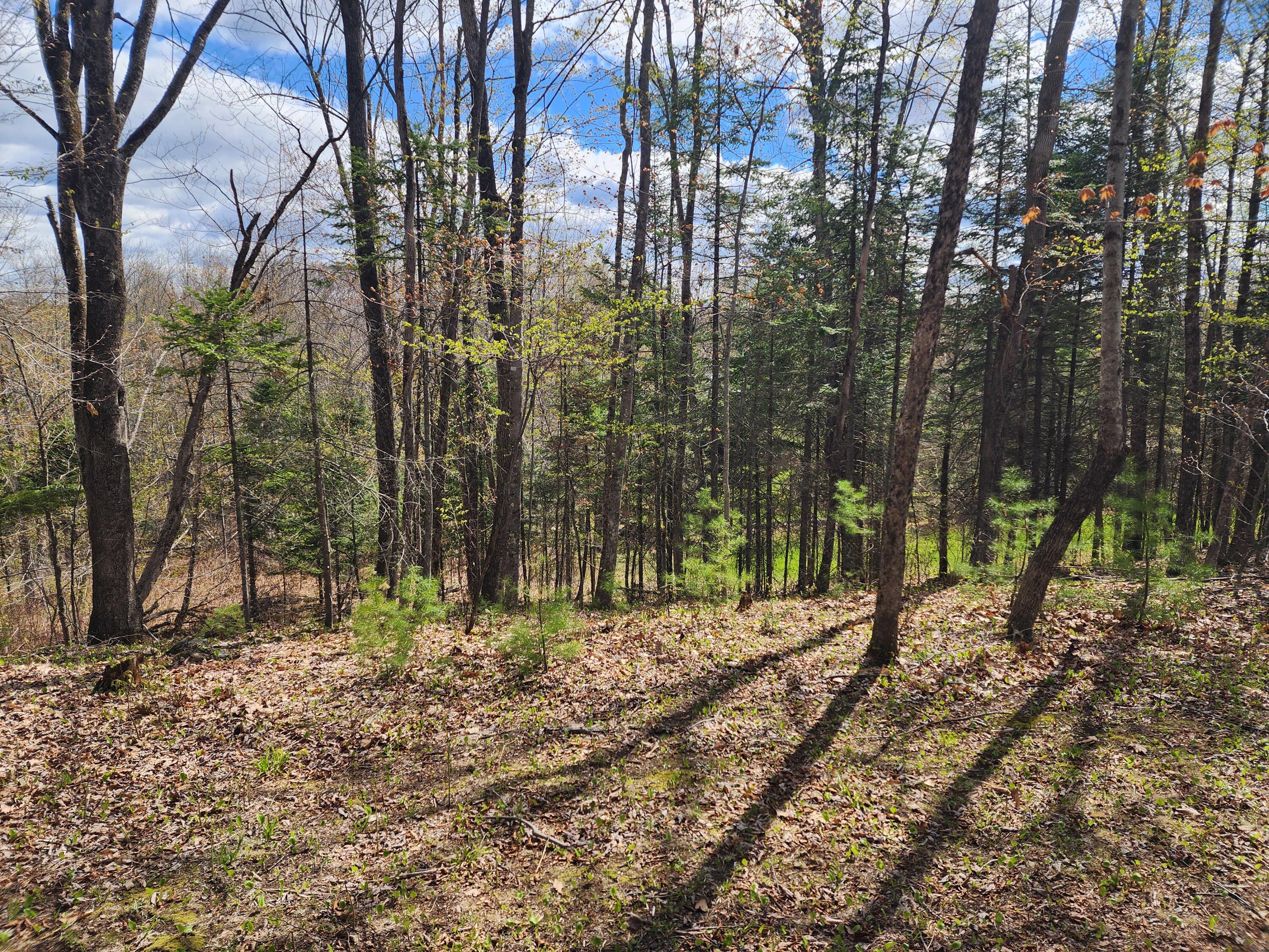 1333 Federal Road Livermore, ME 04253 - Photo 59 of 64 20260512_100407