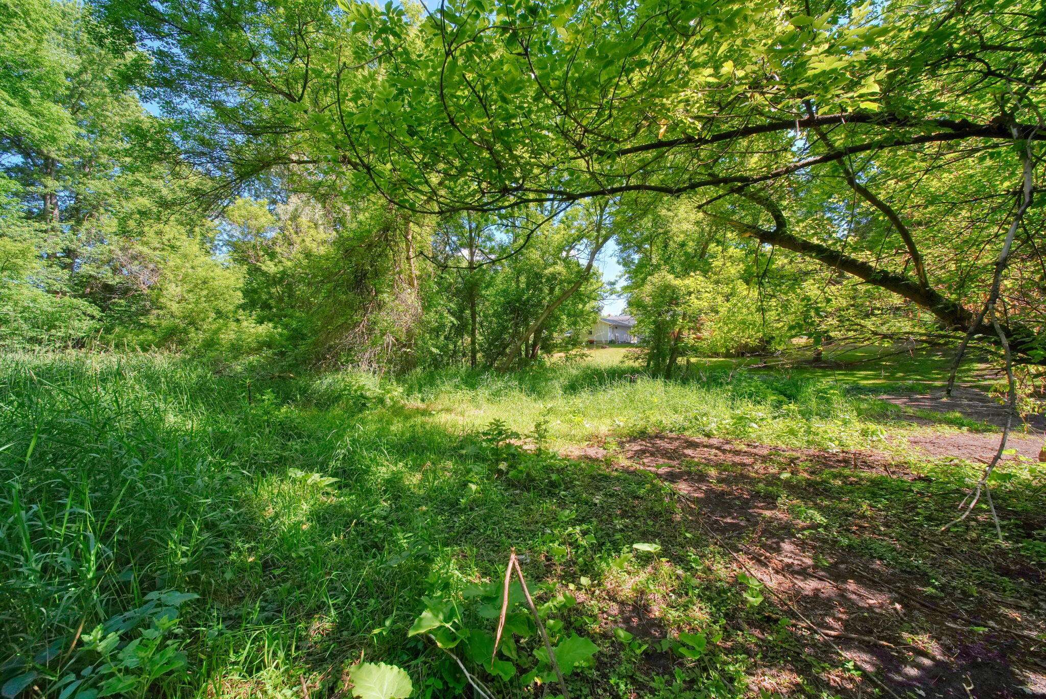 10500 Moscow Road Jonesville, MI 49250 - Photo 57 of 57 88-web-or-mls-DSC06130_HDR