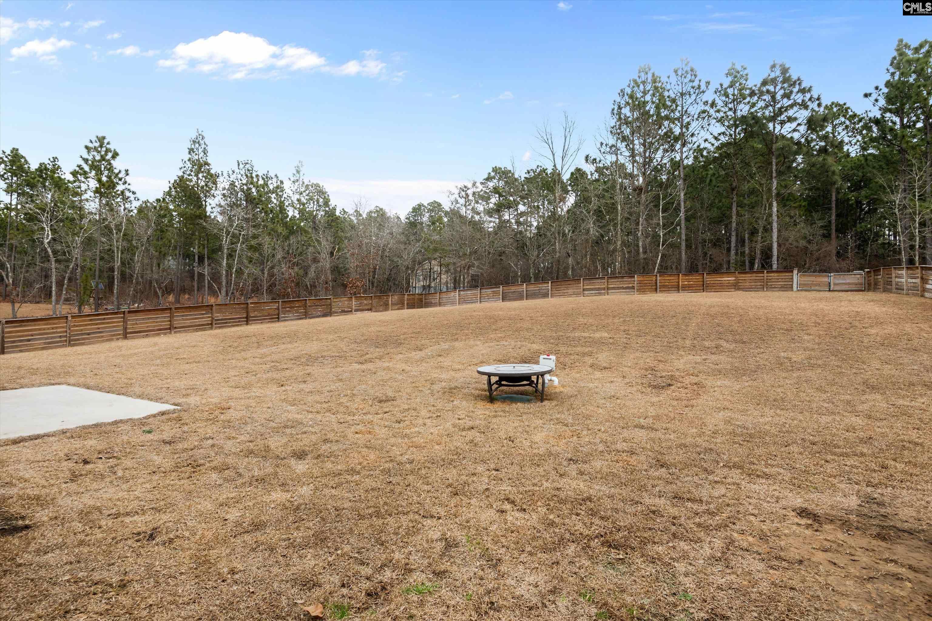 635 Rose Quartz Lane Lexington, SC 29073 - Photo 28 of 29