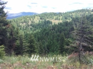 0 Esmeralde Road Republic, WA 99166 - Photo 13 of 13