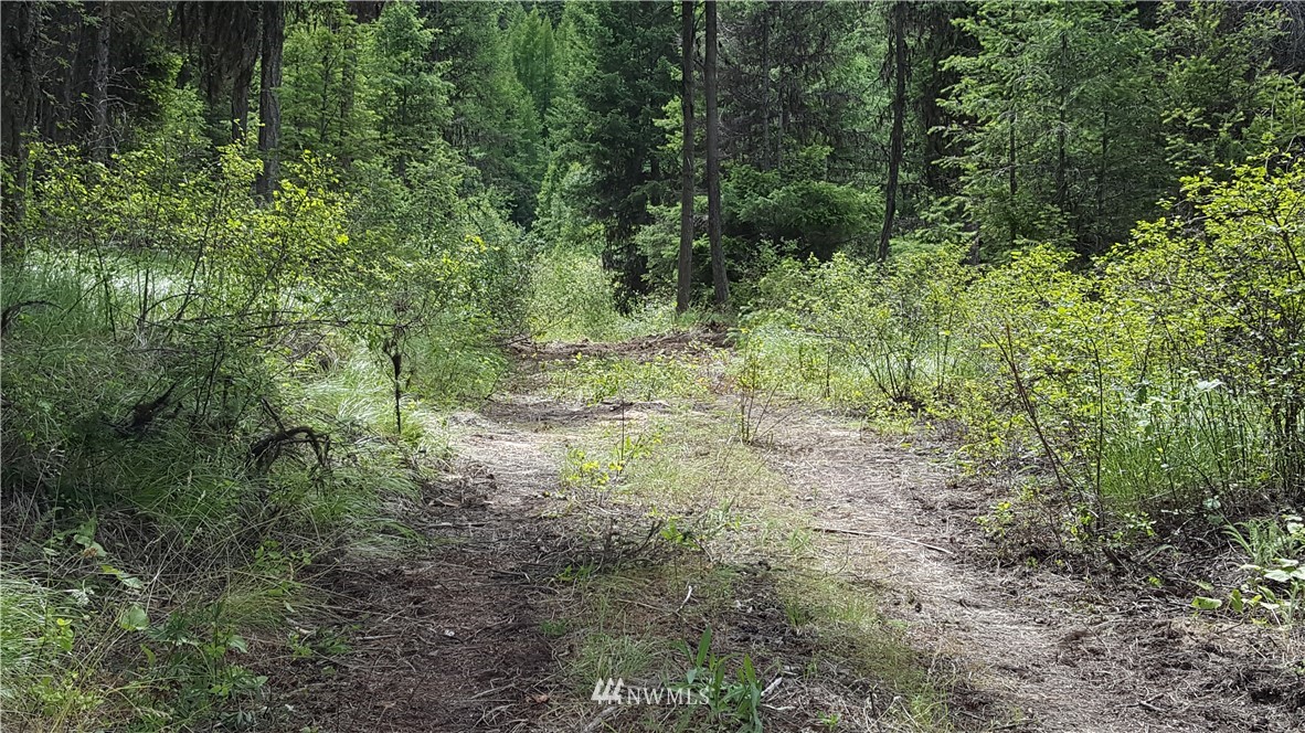 0 Esmeralde Road Republic, WA 99166 - Photo 3 of 13