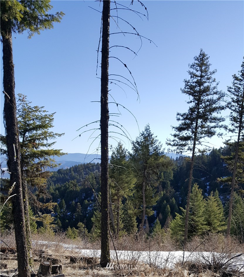 0 Esmeralde Road Republic, WA 99166 - Photo 8 of 13