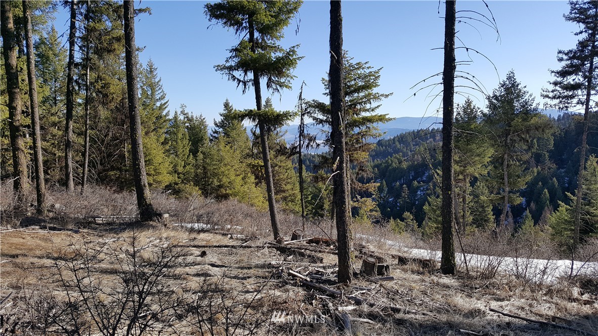 0 Esmeralde Road Republic, WA 99166 - Photo 10 of 13
