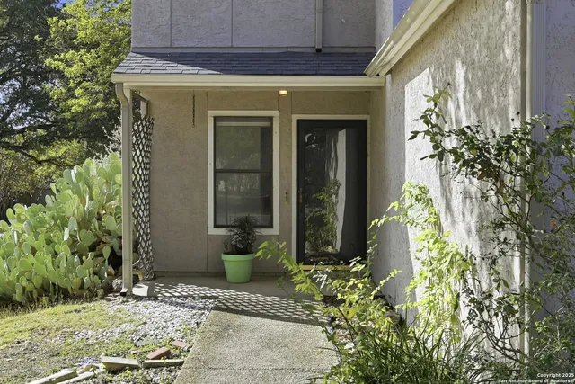 a couple of potted plants in front of door