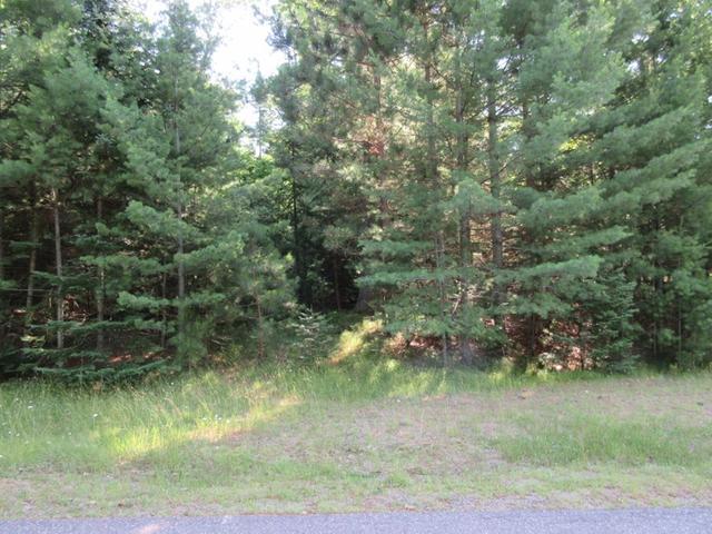 Lot 38 Pine Tree Lane Rhinelander, WI 54501 - Photo 1 of 10 Gallery Image 1