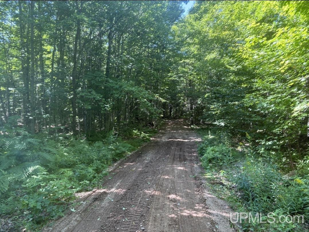 94-acres Peter White Road Deerton, MI 49822 - Photo 7 of 24