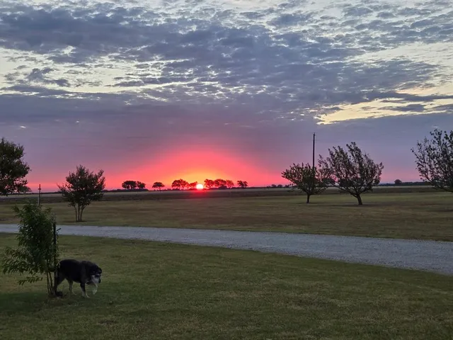 $785,900 | 1397 Ole School Parkway, Crawford, TX 76638