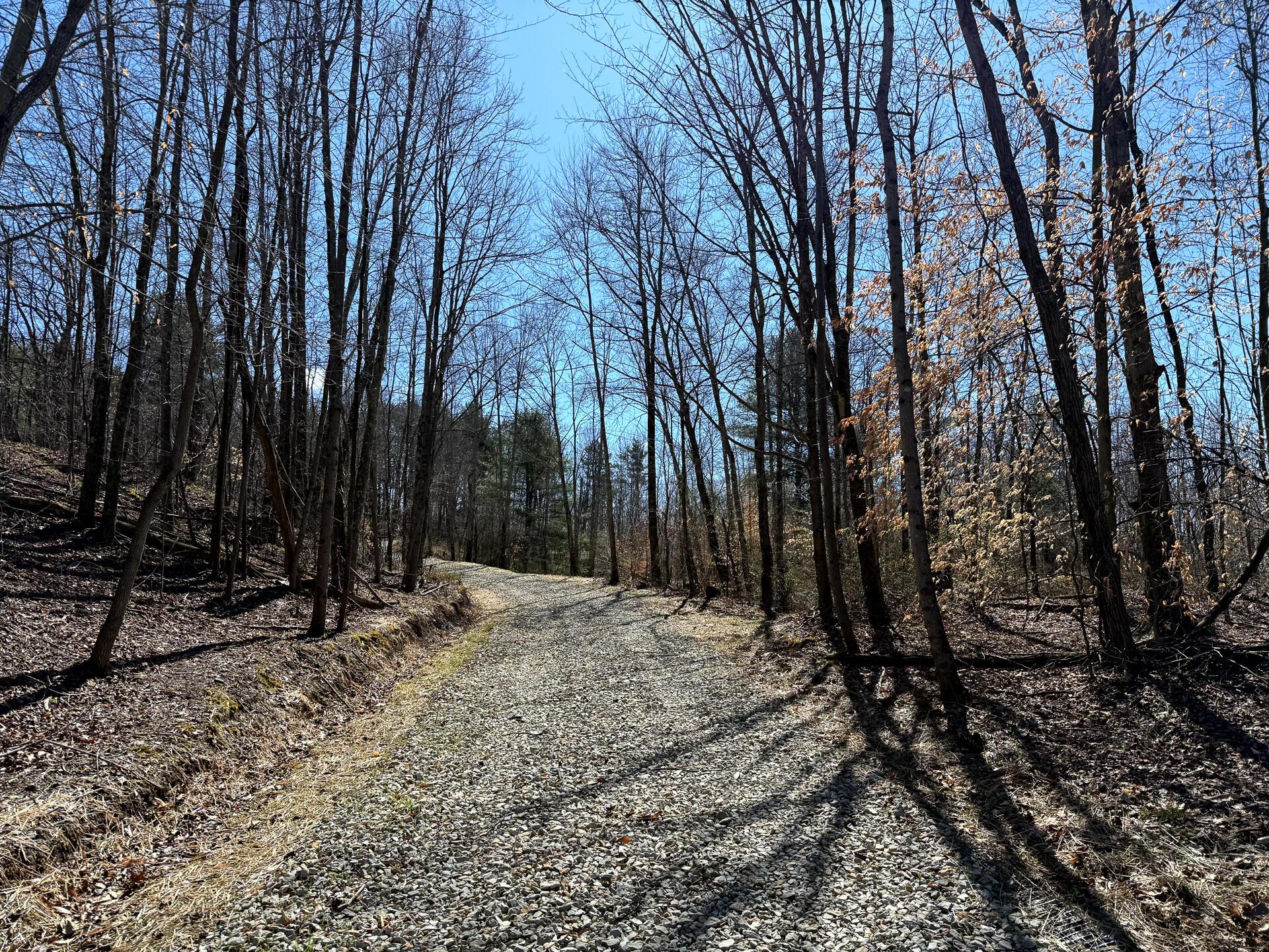 0 Dutch Ridge Road Southeast, Unit WOODS TURKEY RUN TRACT 6) New Lexington, OH 43764 - Photo 3 of 31 CT-3