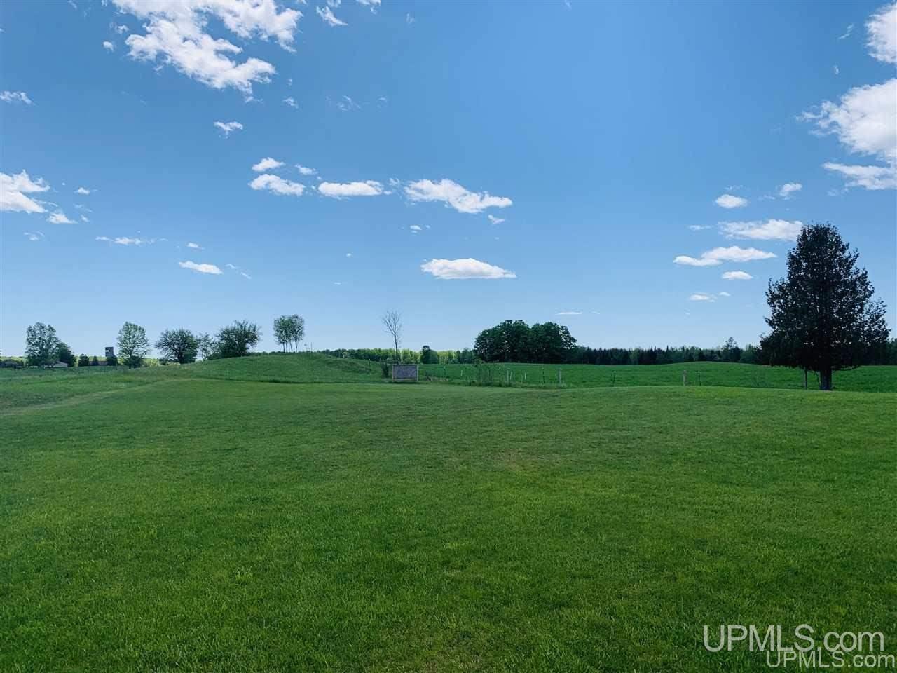 9495 Co Road Cornell, MI 49818 - Photo 8 of 40