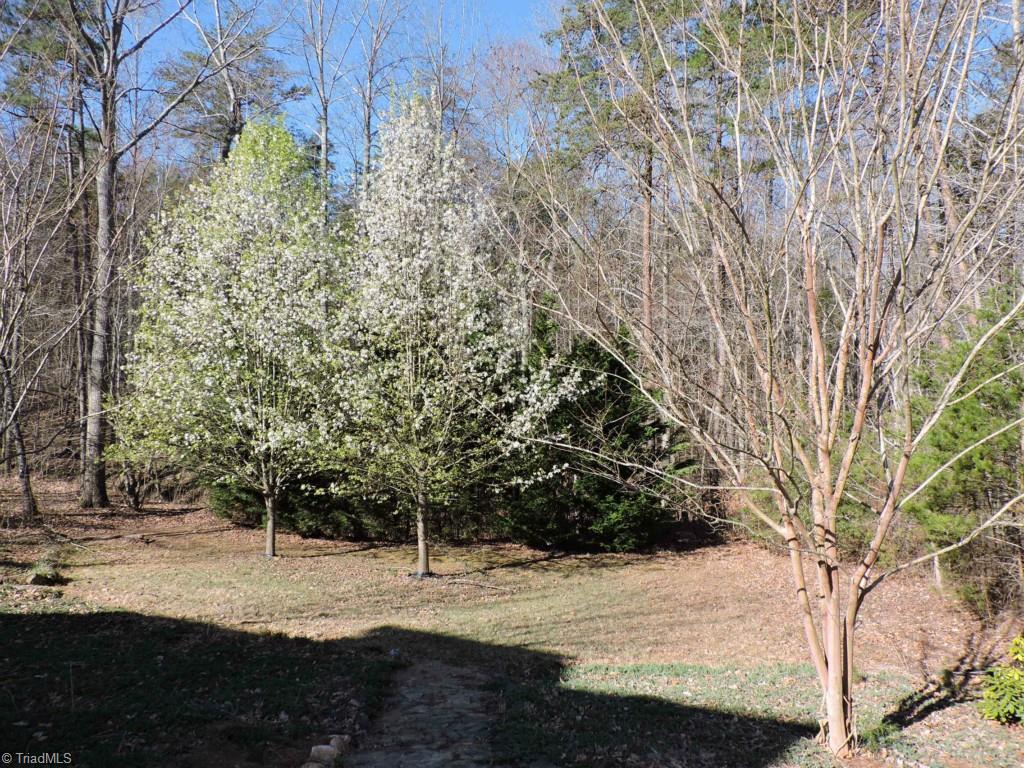 5130 Springhouse Farm Road Winston-Salem, NC 27107 - Photo 5 of 24 Backyard