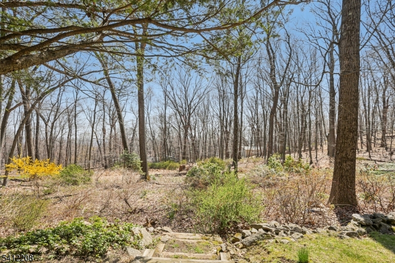 14 Long Ridge Road Morris Plains, NJ 07950 - Photo 44 of 44