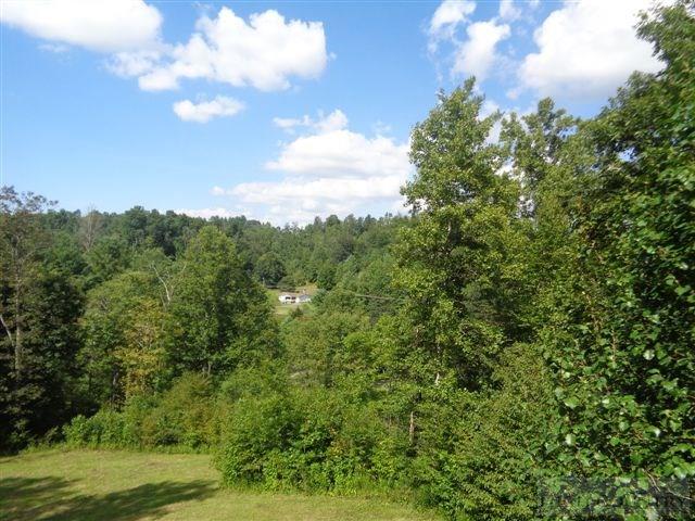 717 F Deep Ford Road Lansing, NC 28643 - Photo 25 of 28 a view of a city with lush green forest