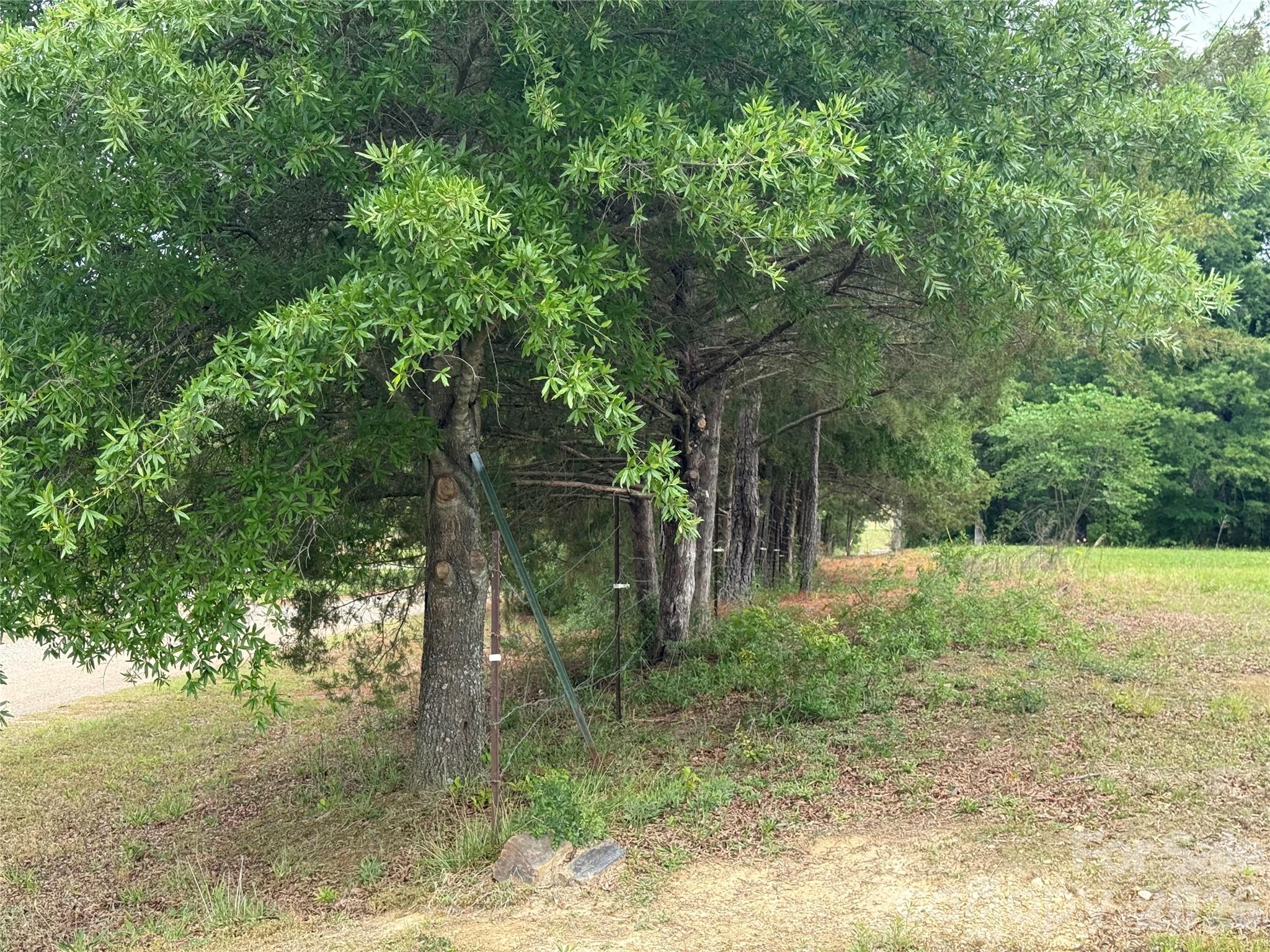 6713 Rebel Road, Unit 13A Marshville, NC 28103 - Photo 19 of 21