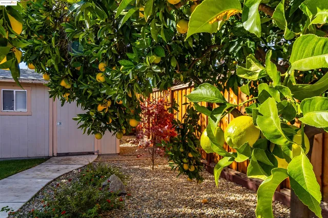 $949,000 | 4656 Benbow Court, Concord, CA 94521