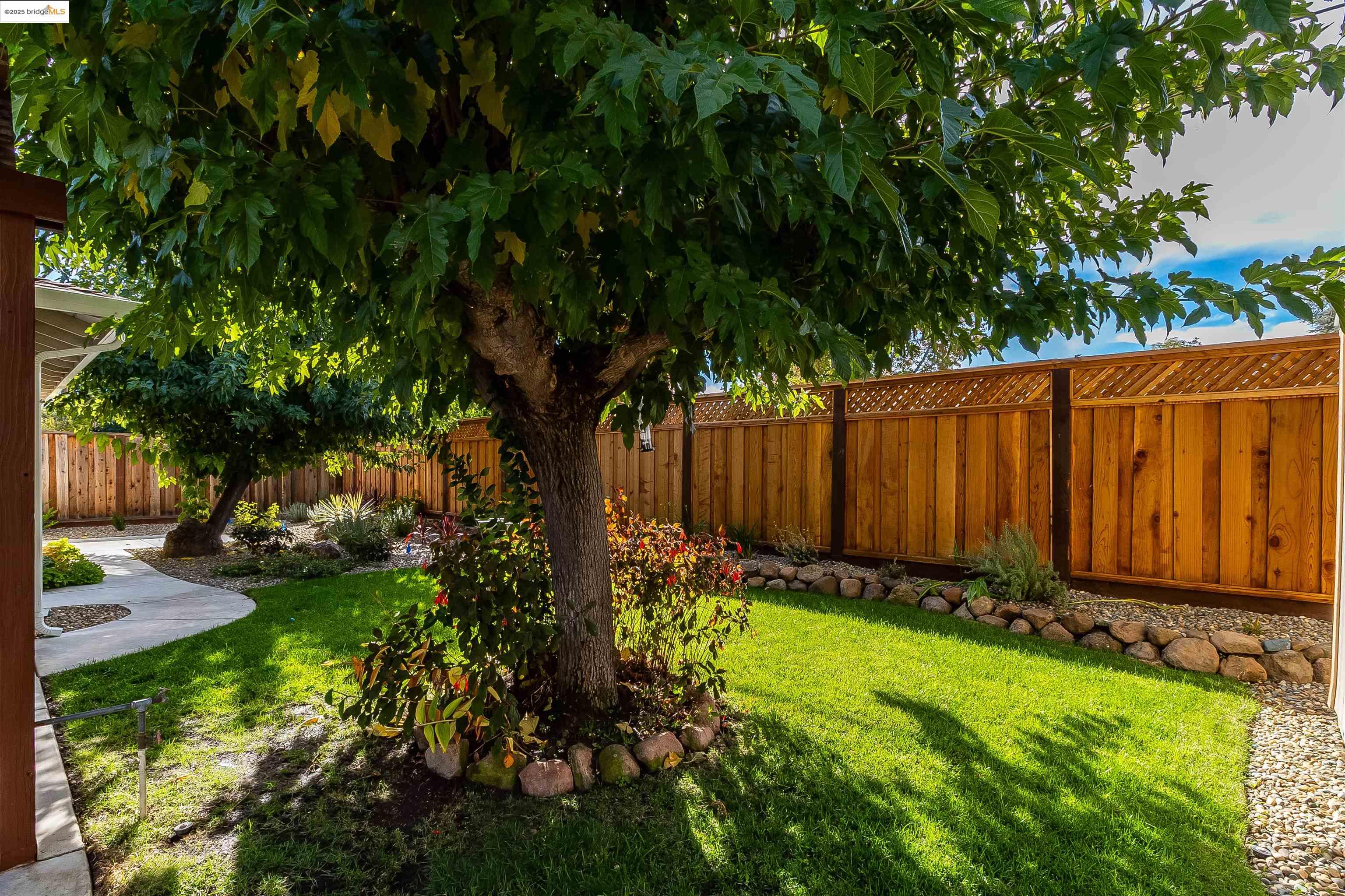 4656 Benbow Court Concord, CA 94521 - Photo 27 of 32 a view of a backyard with potted plants and large trees