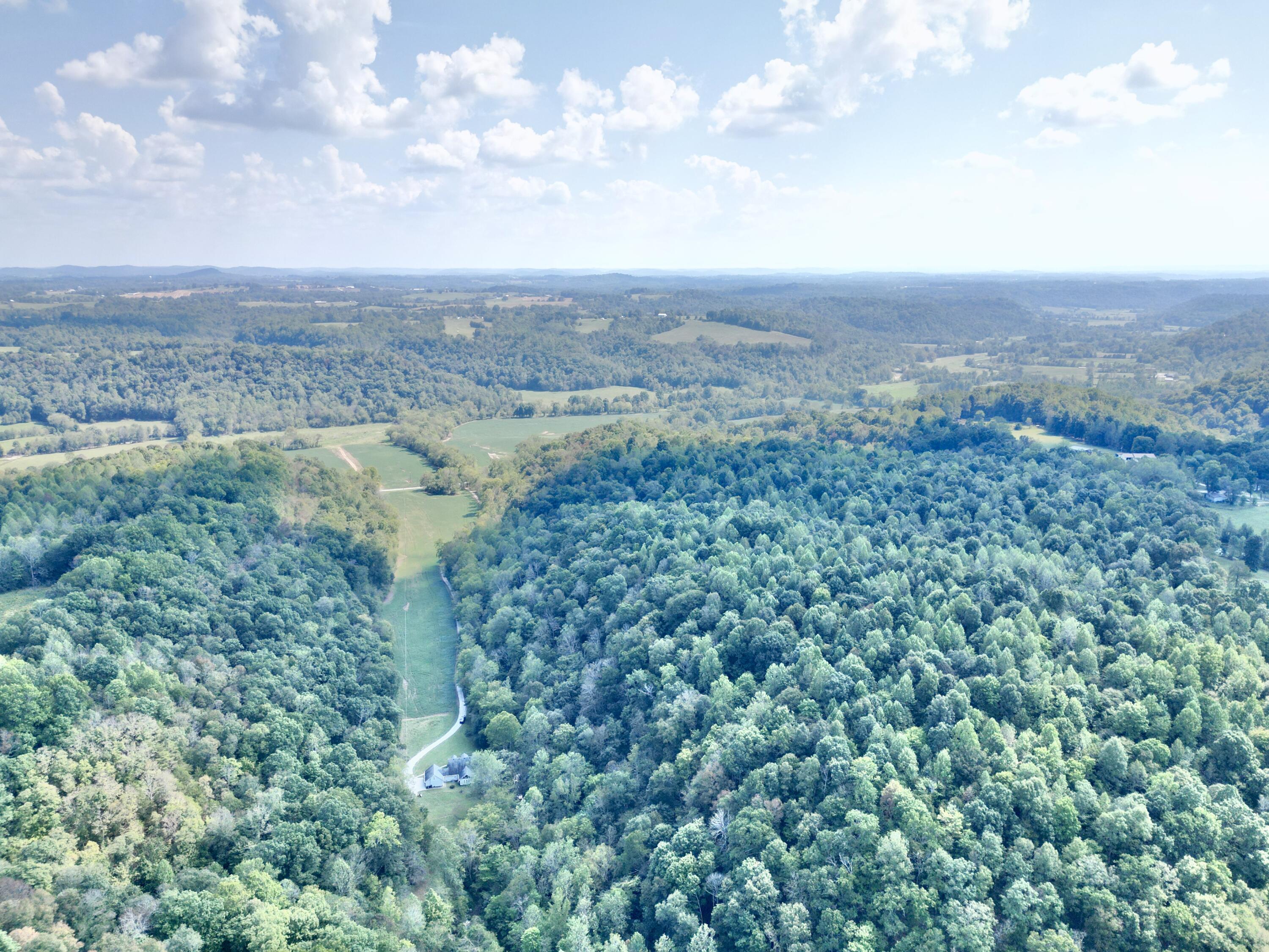 690 Ansel Road Science Hill, KY 42553 - Photo 3 of 78 dji_fly_20260916_112024_760_178958280040