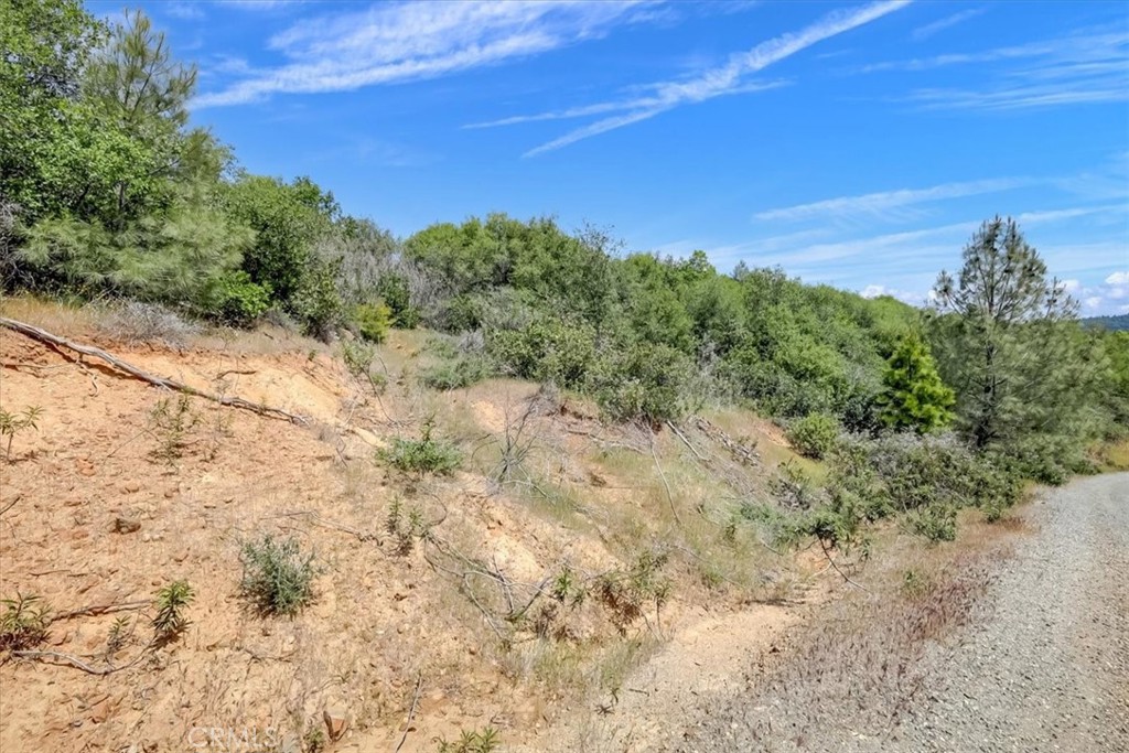 23 Clark Ranch Way Brownsville, CA 95919 - Photo 38 of 42