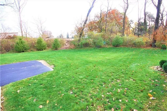 a view of a field of grass and trees