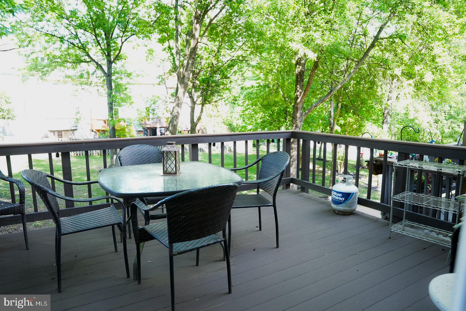 7691 Northern Oaks Court Springfield, VA 22153 - Photo 21 of 23 Serene outdoor retreat in lush greenery.
