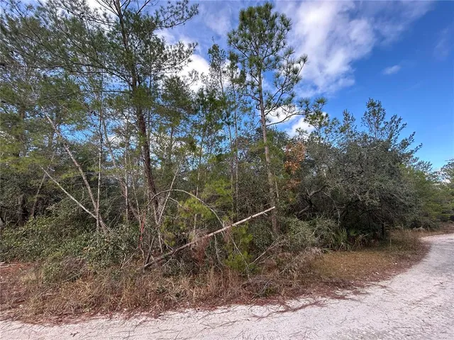 $8,500 | Tbd Northeast 236th Place, Fort McCoy, FL 32134