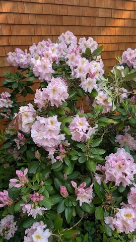 $1,150,000 | 59 Webber Hill Road, Kennebunk, ME 04043