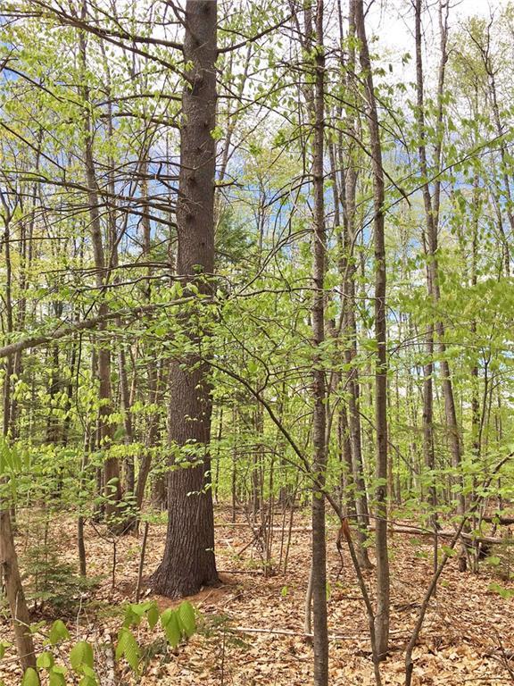 Lot 25 Grantwood Ridge Road Oakland, ME 04963 - Photo 5 of 6 Additional view