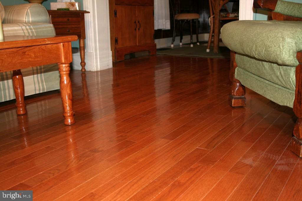 34 East Center Street Lititz, PA 17543 - Photo 20 of 21 a living room with furniture and a wooden floor