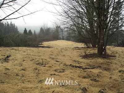 -xxxx Long Lake Road Port Orchard, WA 98366 - Photo 1 of 1 Gallery Image 1