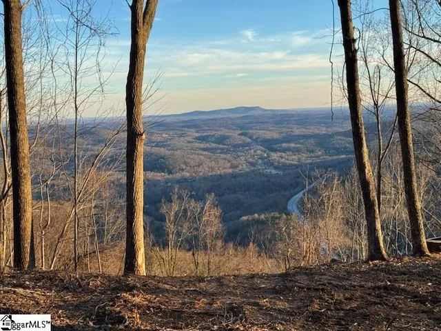 $395,000 | 1531 Panther Park Trail, Unit CVAPMP061, Travelers Rest, SC 29690