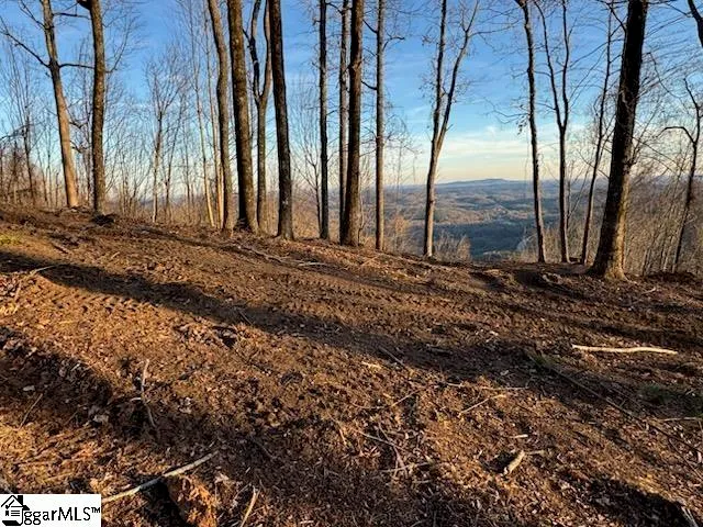 $395,000 | 1531 Panther Park Trail, Unit CVAPMP061, Travelers Rest, SC 29690