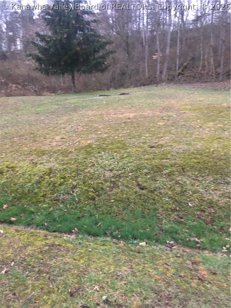 161 Byron Lane Ripley, WV 25271 - Photo 5 of 21 Gallery Image 5