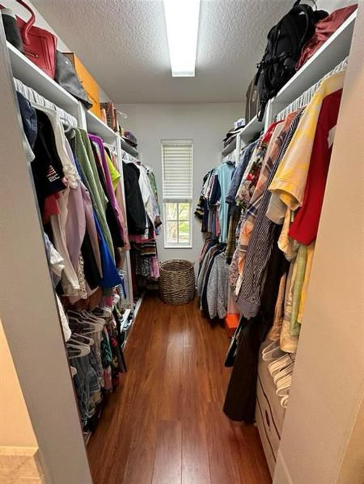 262 Iris Drive Jupiter, FL 33458 - Photo 13 of 21 Primary Closet