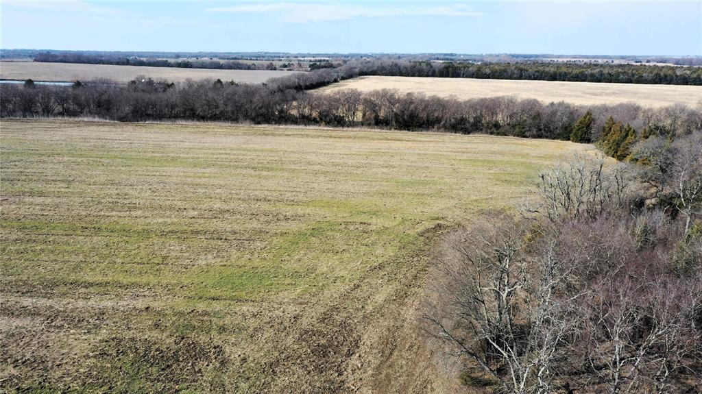 988 County Road 4142 Bonham, TX 75418 - Photo 11 of 23