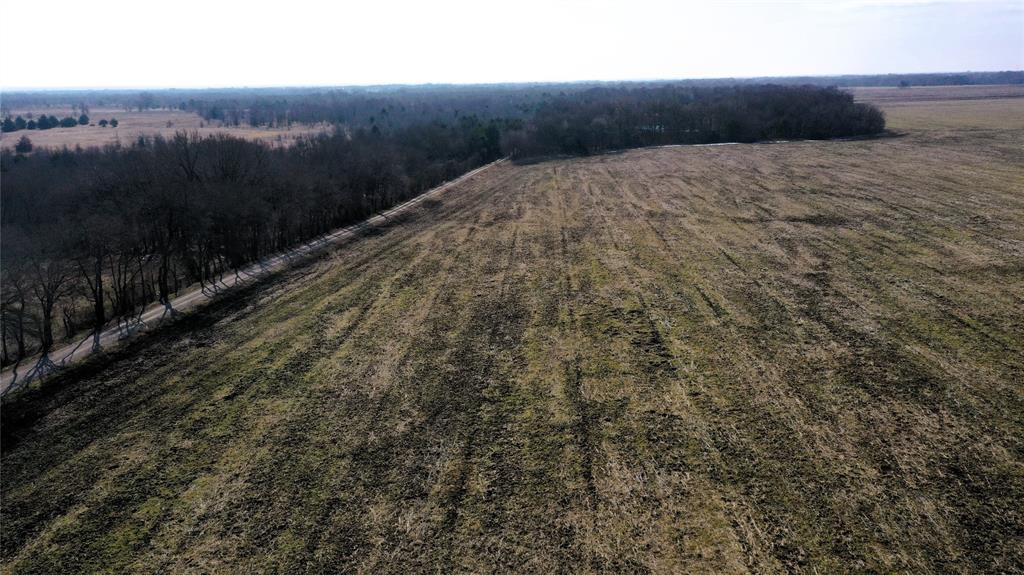 988 County Road 4142 Bonham, TX 75418 - Photo 13 of 23