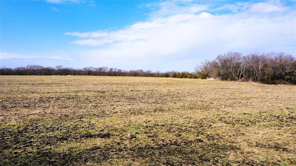 988 County Road 4142 Bonham, TX 75418 - Photo 16 of 23