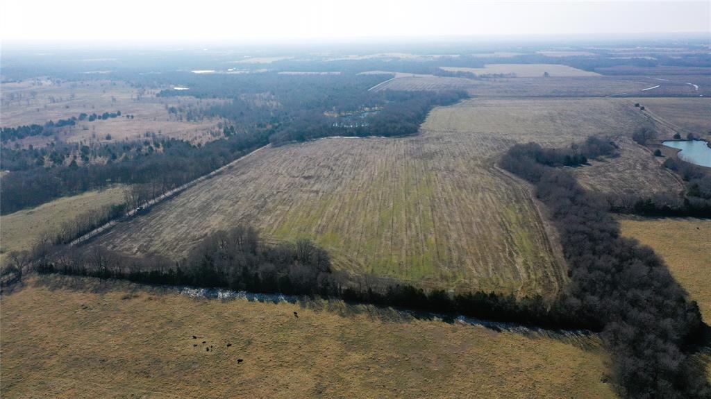 988 County Road 4142 Bonham, TX 75418 - Photo 2 of 23