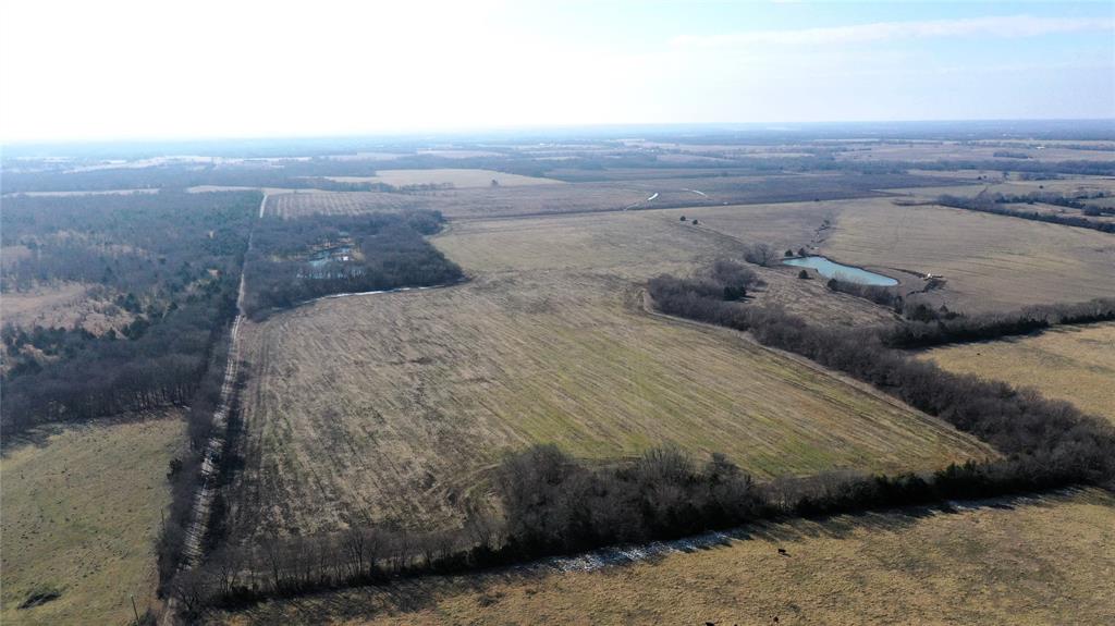 988 County Road 4142 Bonham, TX 75418 - Photo 22 of 23