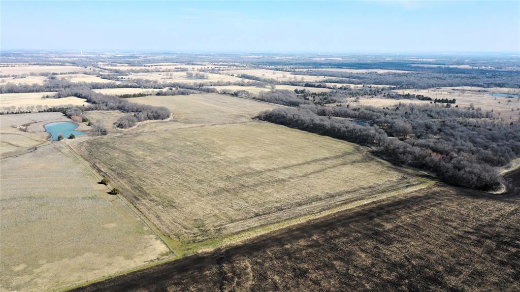 988 County Road 4142 Bonham, TX 75418 - Photo 4 of 23